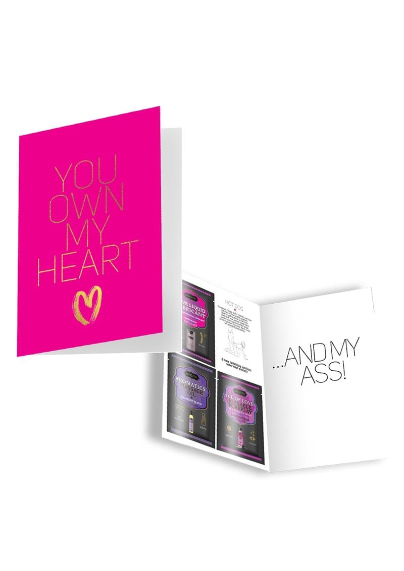 Naughty Notes Greeting Card You Own My 1 Card