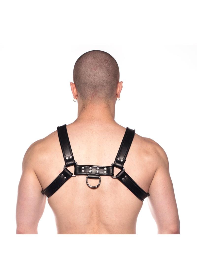 Prowler Red Bull Harness Black Sm