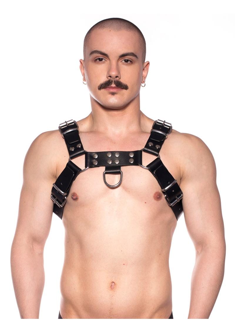 Prowler Red Butch Harness Blk/silv Md