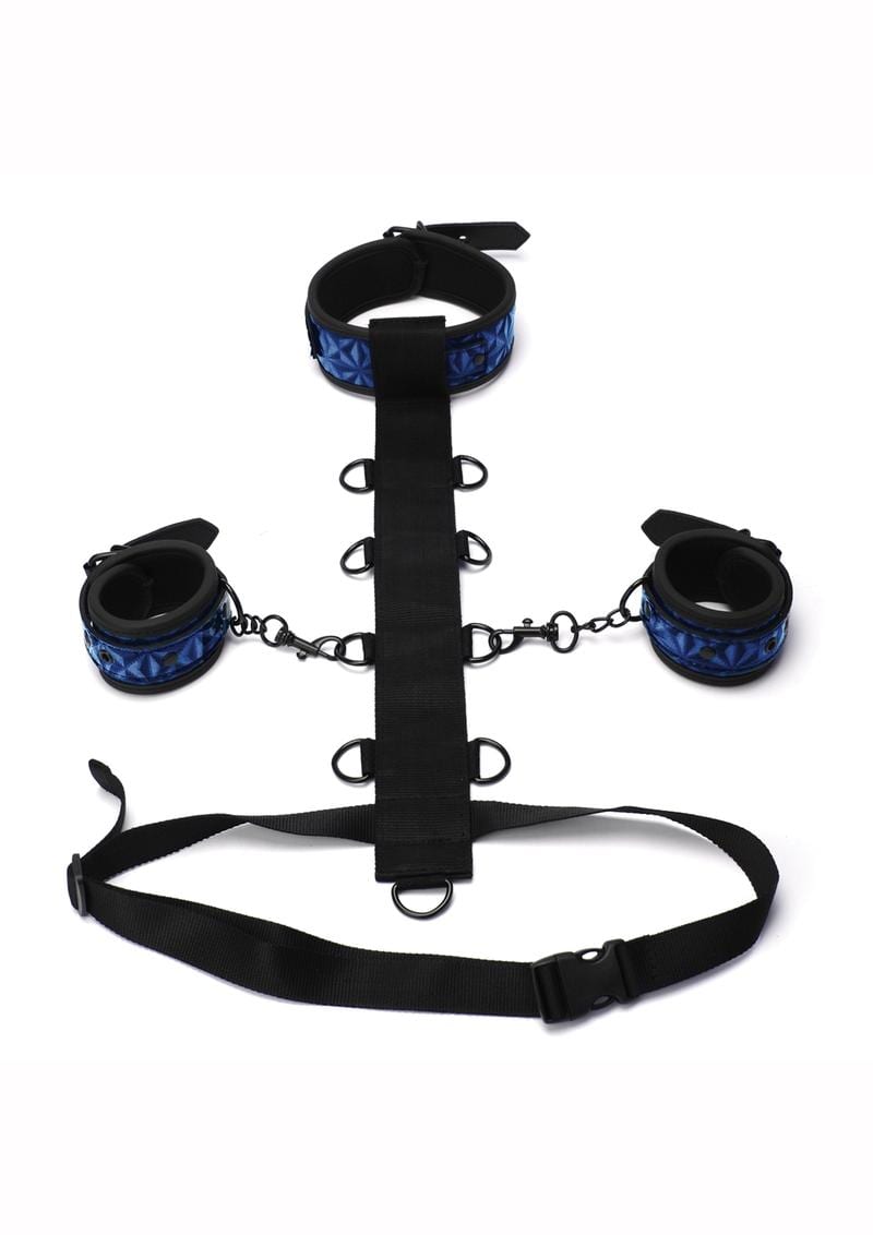 Whipsmart Adjustable Body Harness Restraint 3pc - Blue